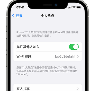 眉县apple服务站点分享iPhone上个人热点丢失了怎么办