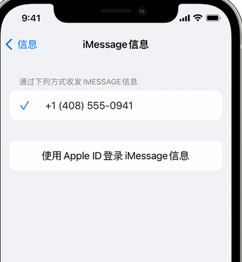 眉县apple维修iPhone上无法正常发送iMessage信息 