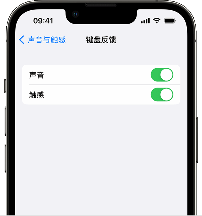 眉县苹果14维修店分享如何在 iPhone 14 机型中使用触感键盘 