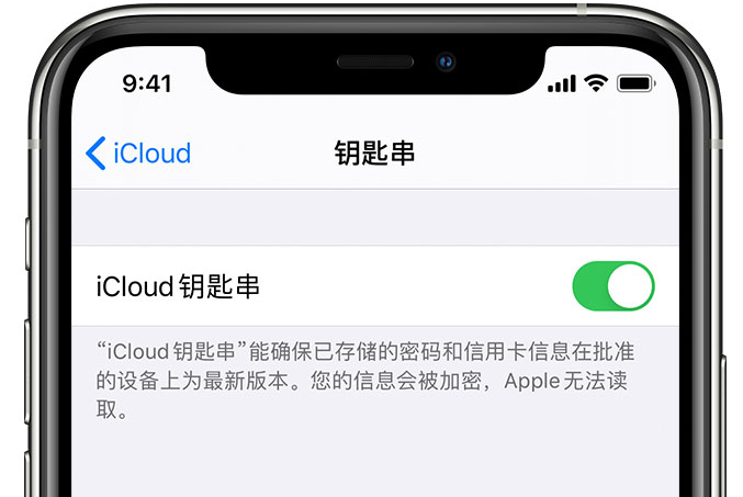 眉县苹果手机维修分享在 iPhone 上开启 iCloud 钥匙串之后会储存哪些信息 